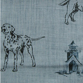 Kennel Club - Mulberry